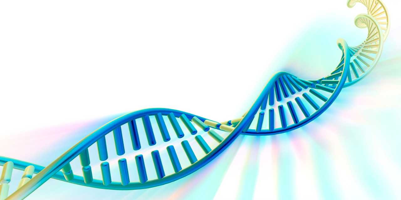 Polynucleotide (PN) Therapy
